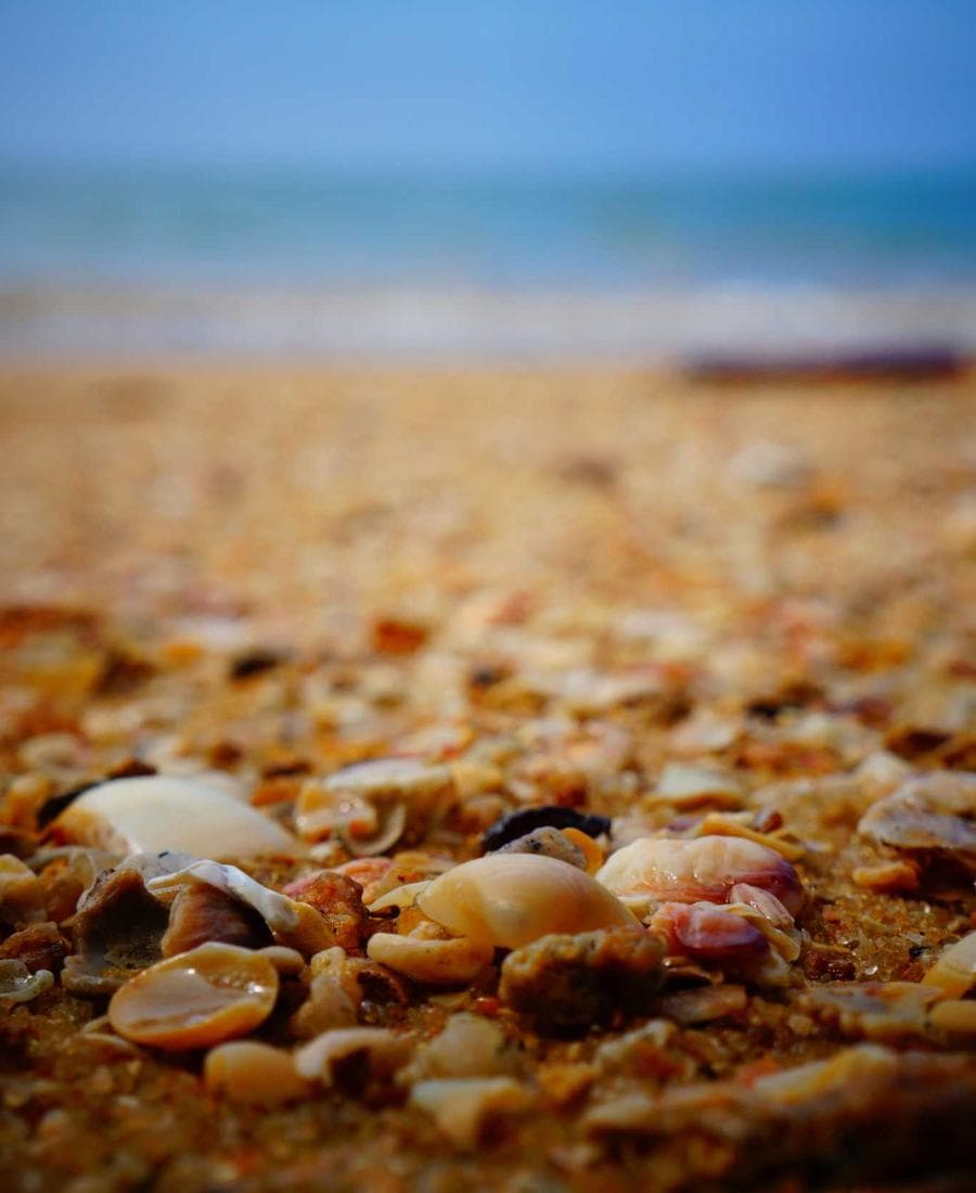 غروب ذهبي